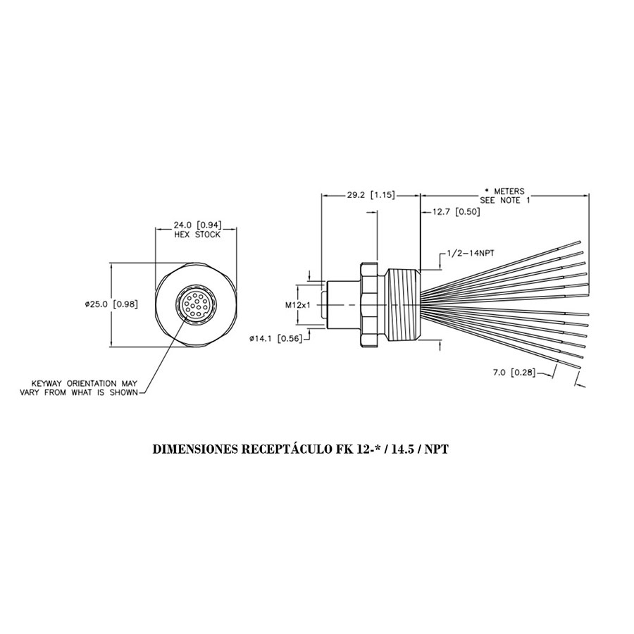 Dimensiones_receptaculo